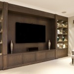 TV and bookcase