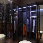 closet with glass doors and lights